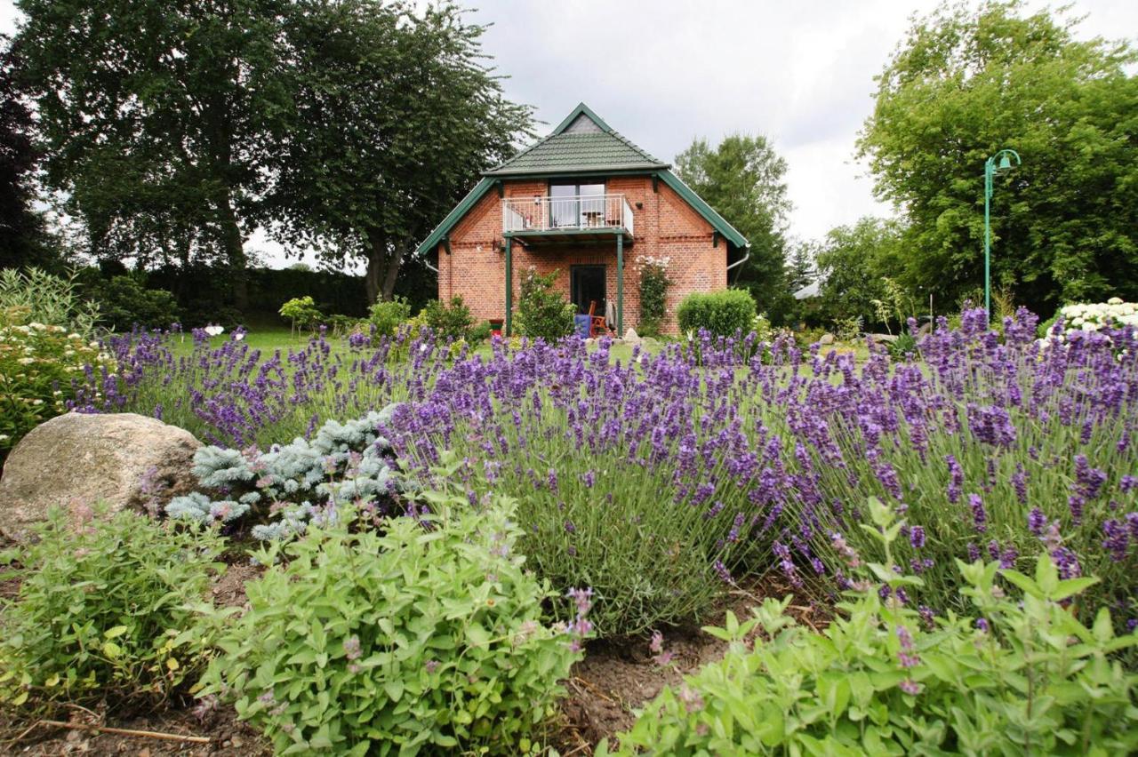 Ferienhaus Seeadler Am Duemmer See In Duemmer Dummer Exterior photo